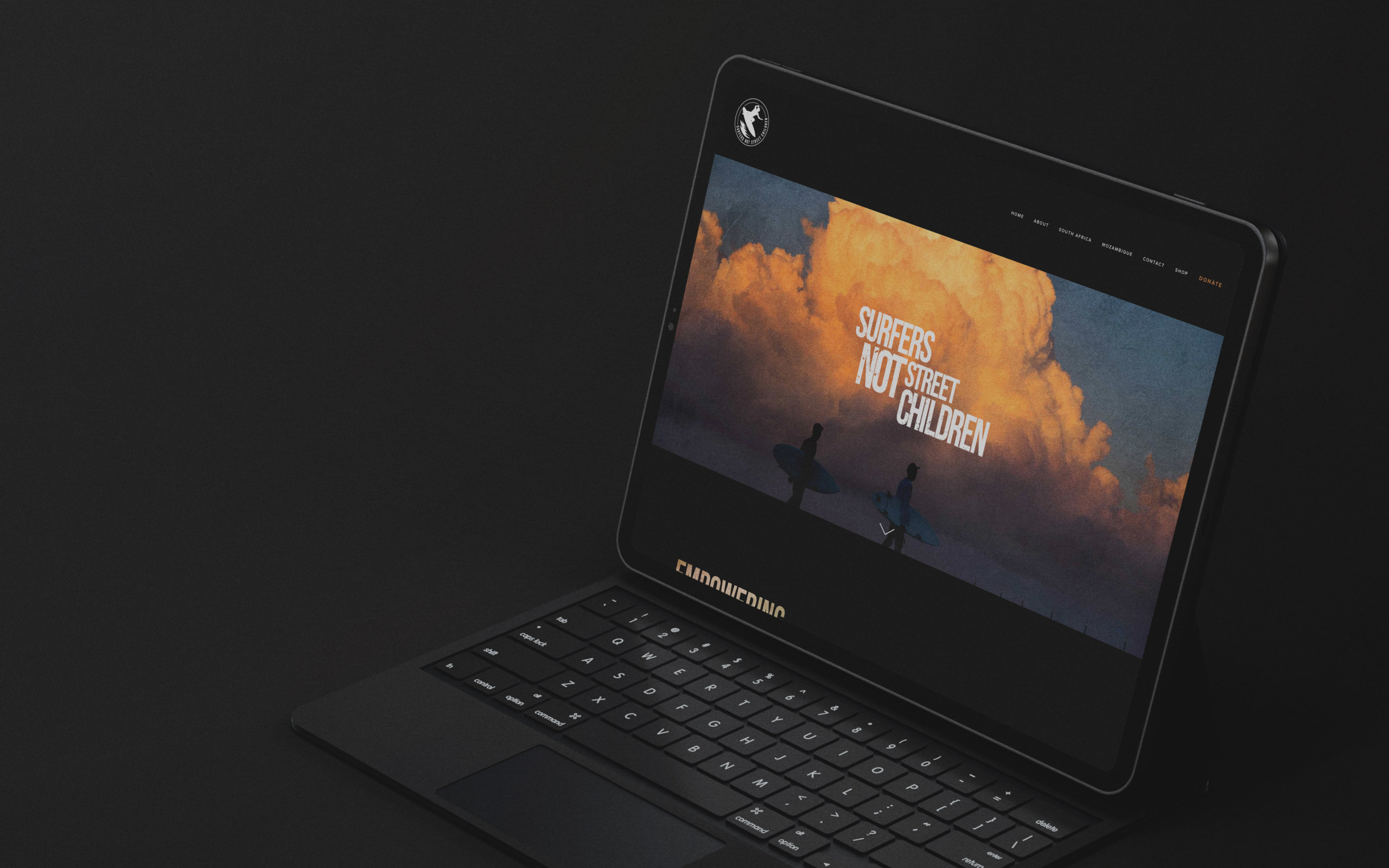 SNSC-website-3