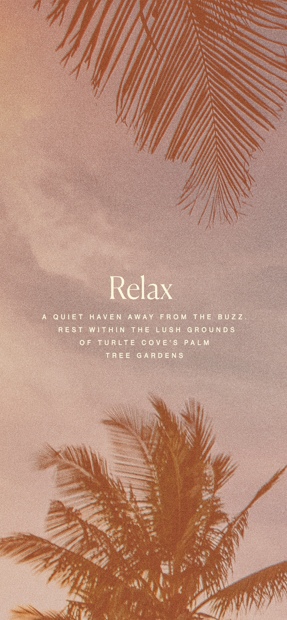 Turtle-Cove-website-20